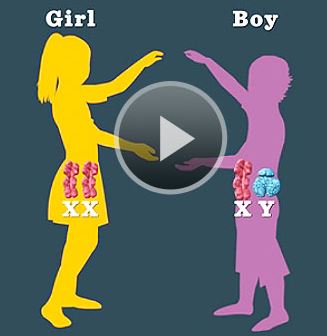 تعیین جنسیت کودک ( دختر یا پسر بودن ) از طریق خوراک