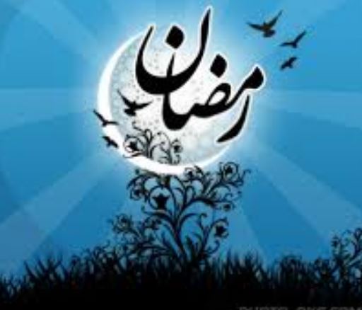 دستگاه ضدعفونی کننده آبزیان زینتی و خوراکی