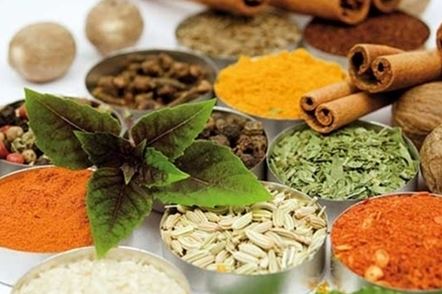 درمان خانگی بعضی از بیماریهای رایج با کمک طب سنتی