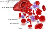 انواع گروه خونی سازگار جهت انتقال