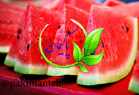 پیاده روی و فواید آن