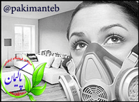 گیاهانی که هوای خانه را تصفیه می کنند