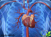 راههای پیشگیری از حمله قلبی